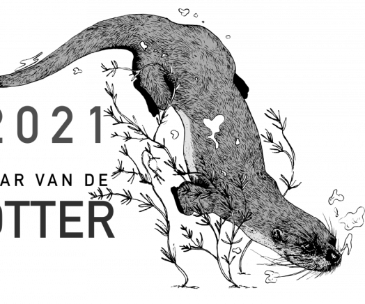 2021 - Jaar van de Otter